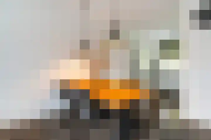 Bellinilaan 26 Delft thumbnail 16