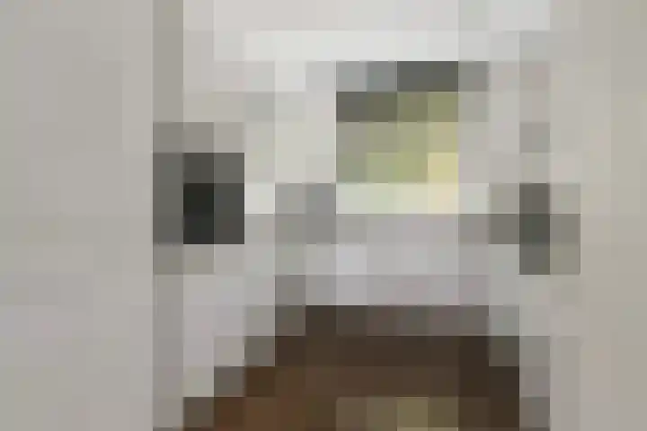 Bellinilaan 26 Delft thumbnail 17