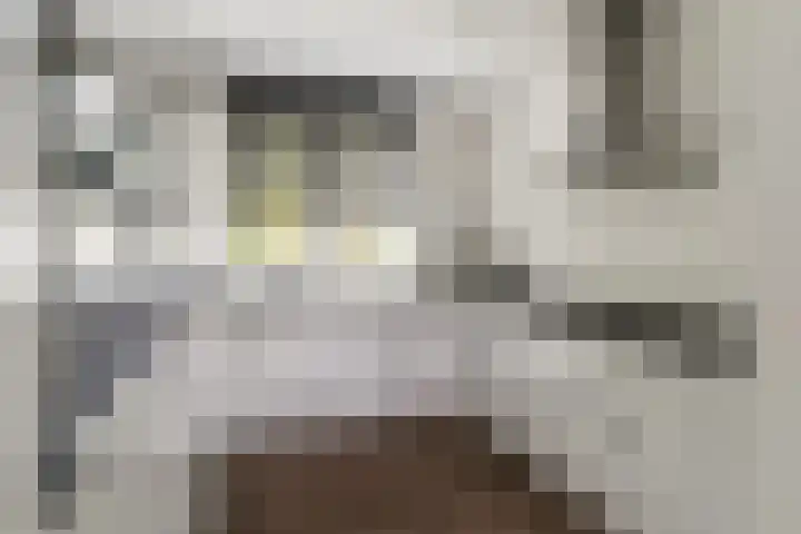 Bellinilaan 26 Delft thumbnail 18