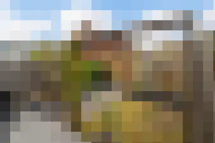 Bellinilaan 26 Delft thumbnail 20