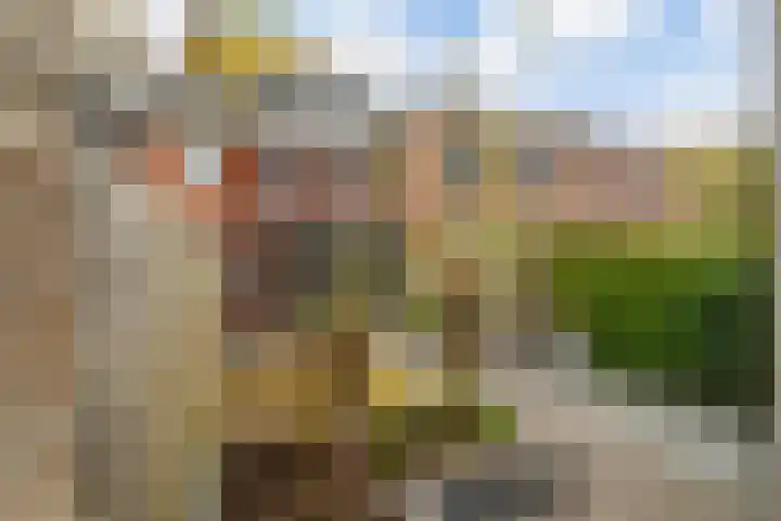 Bellinilaan 26 Delft thumbnail 22