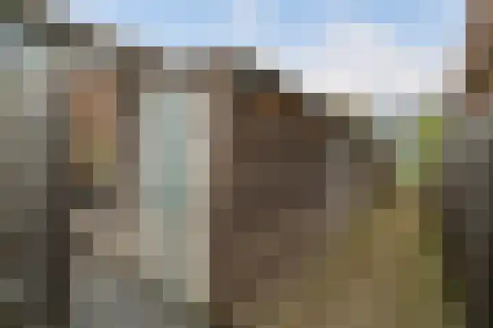 Bellinilaan 26 Delft thumbnail 24