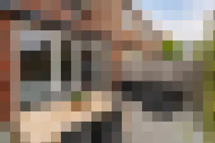 Bellinilaan 26 Delft thumbnail 25