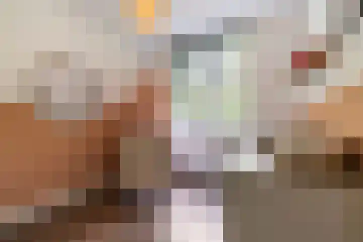 Bellinilaan 26 Delft thumbnail 33