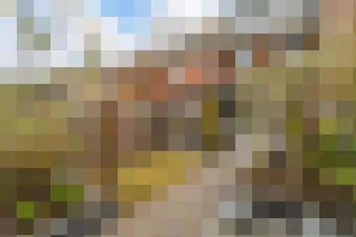 Bellinilaan 26 Delft thumbnail 4