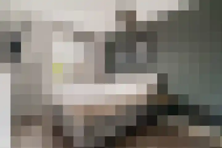 Bellinilaan 26 Delft thumbnail 5