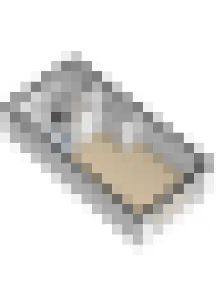 Bellinilaan 26 Delft thumbnail 51
