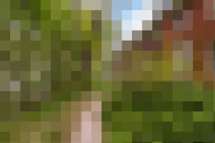Bellinilaan 26 Delft thumbnail 56