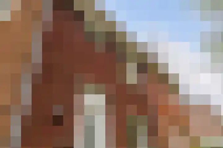 Bellinilaan 26 Delft thumbnail 6