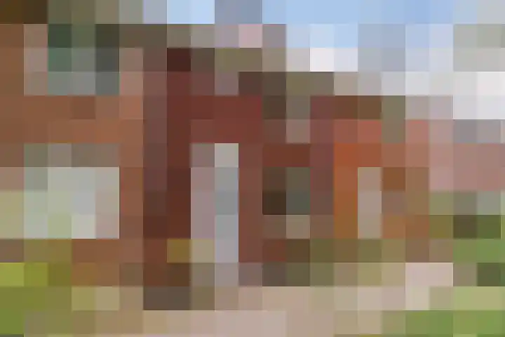 Bellinilaan 26 Delft thumbnail 7