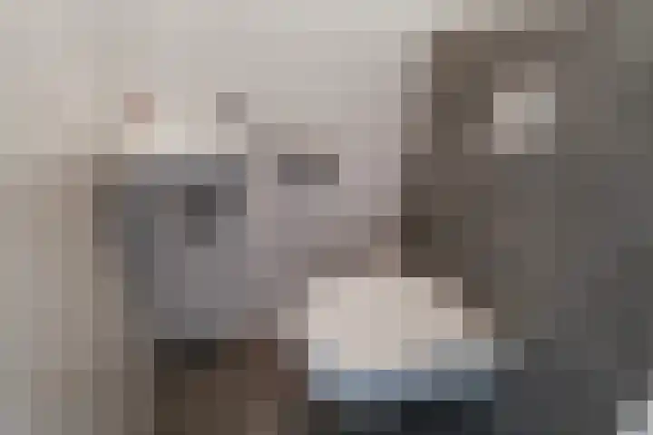 Bellinilaan 26 Delft thumbnail 9