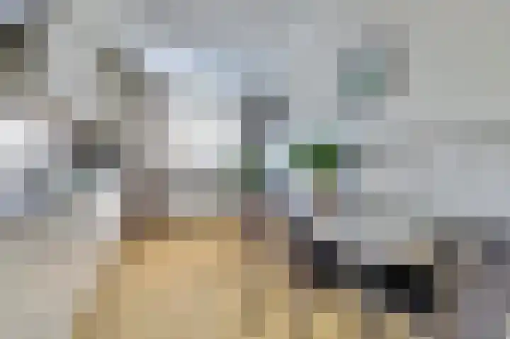Bellinipark 27 Drunen thumbnail 12