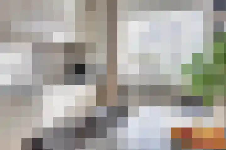 Bellinipark 27 Drunen thumbnail 13