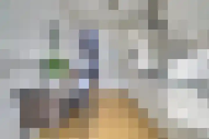 Bellinipark 27 Drunen thumbnail 14