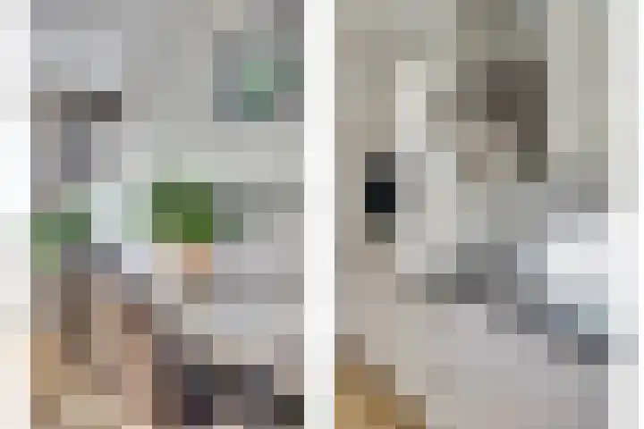 Bellinipark 27 Drunen thumbnail 15