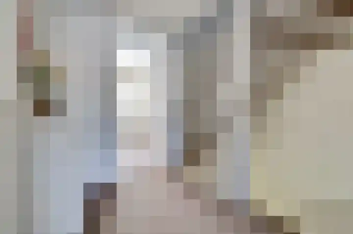 Bellinipark 27 Drunen thumbnail 18