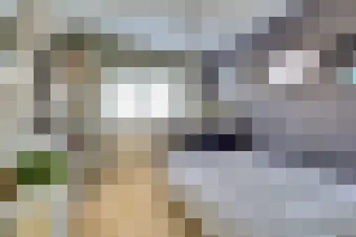 Bellinipark 27 Drunen thumbnail 22
