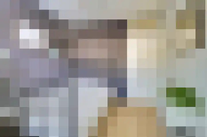Bellinipark 27 Drunen thumbnail 23