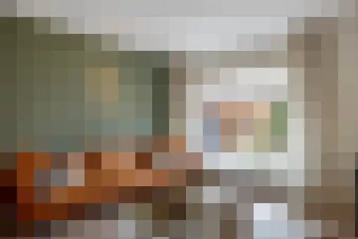 Bellinistraat 1 Oud-Beijerland thumbnail 10