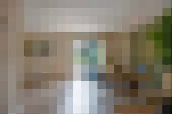 Bellinistraat 1 Oud-Beijerland thumbnail 11