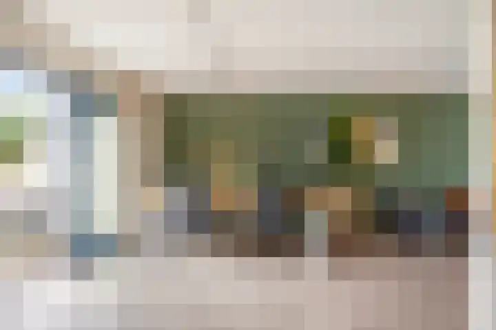 Bellinistraat 1 Oud-Beijerland thumbnail 12