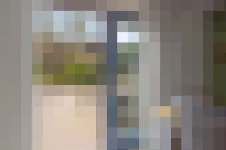 Bellinistraat 1 Oud-Beijerland thumbnail 14