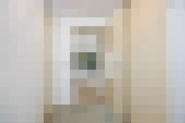 Bellinistraat 1 Oud-Beijerland thumbnail 17