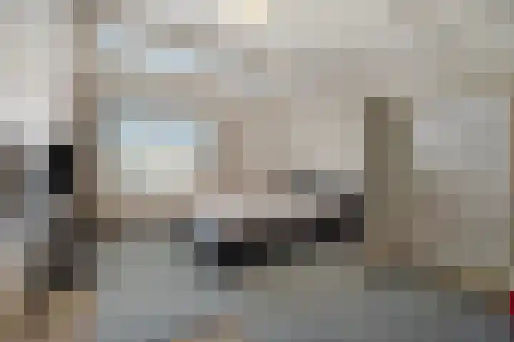 Bellinistraat 1 Oud-Beijerland thumbnail 24