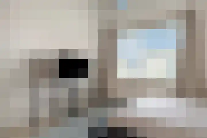 Bellinistraat 1 Oud-Beijerland thumbnail 25