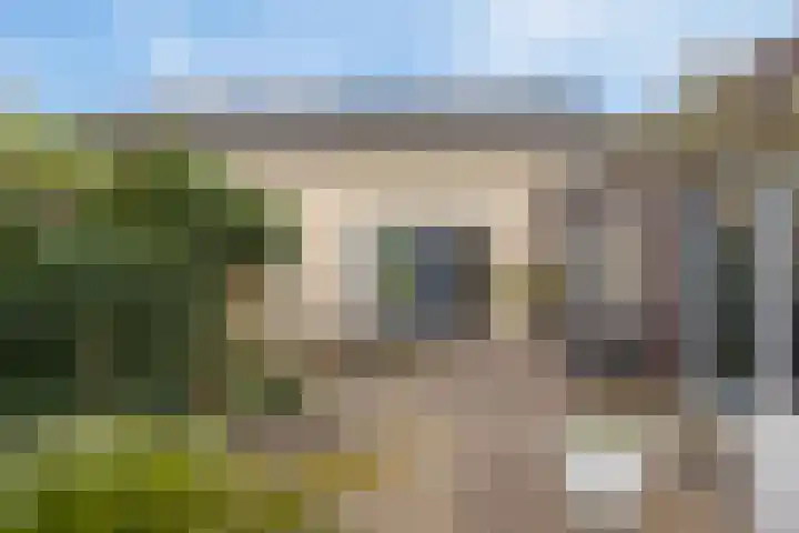 Bellinistraat 1 Oud-Beijerland thumbnail 27