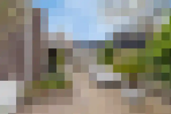 Bellinistraat 1 Oud-Beijerland thumbnail 29