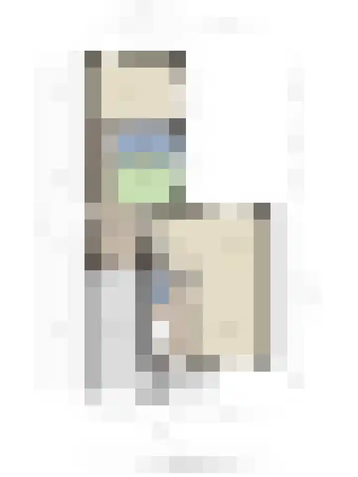 Bellinistraat 1 Oud-Beijerland thumbnail 31