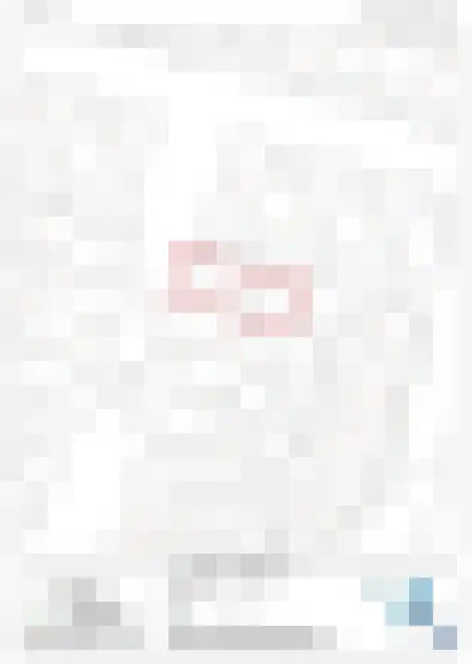 Bellinistraat 1 Oud-Beijerland thumbnail 34