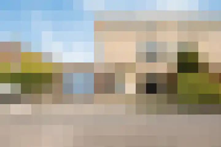 Bellinistraat 1 Oud-Beijerland thumbnail 35