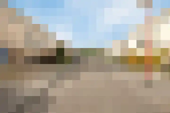 Bellinistraat 1 Oud-Beijerland thumbnail 6