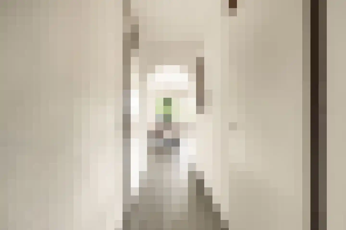 Bellinistraat 115 Alkmaar thumbnail 11