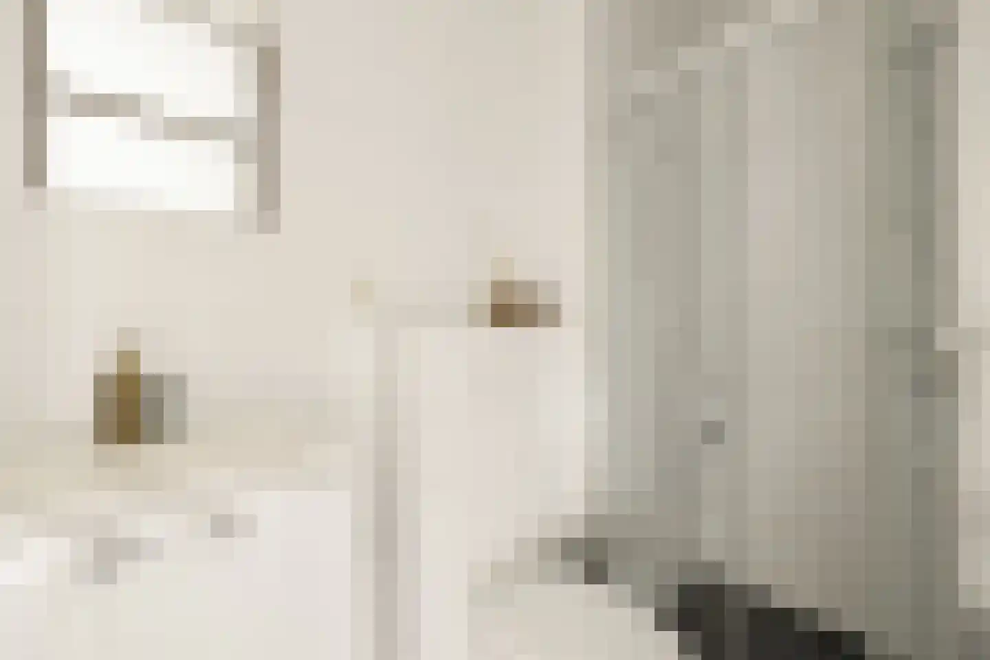 Bellinistraat 115 Alkmaar thumbnail 21