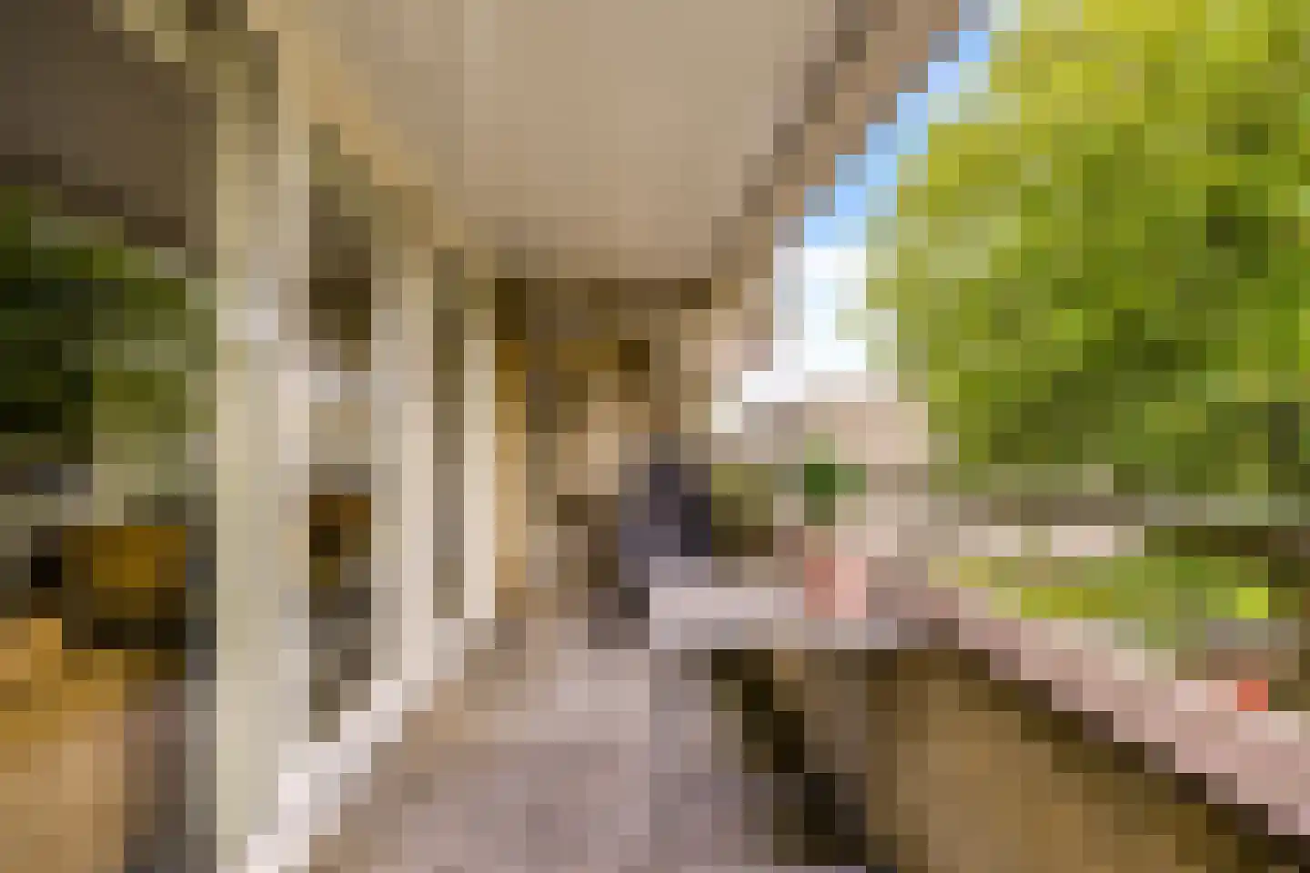 Bellinistraat 115 Alkmaar thumbnail 24