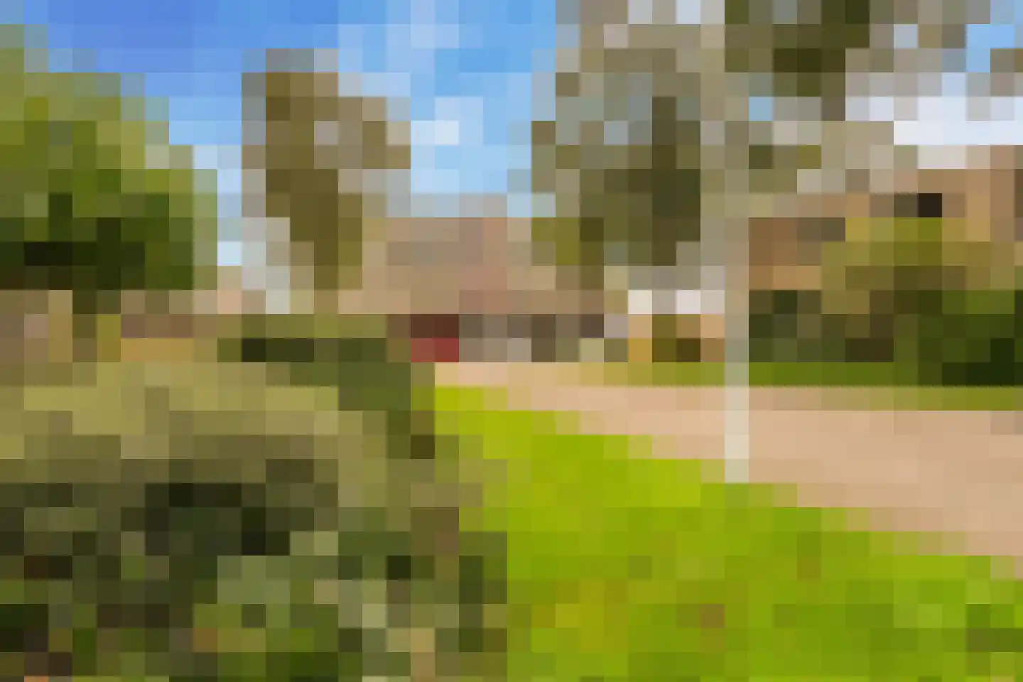 Bellinistraat 115 Alkmaar thumbnail 38