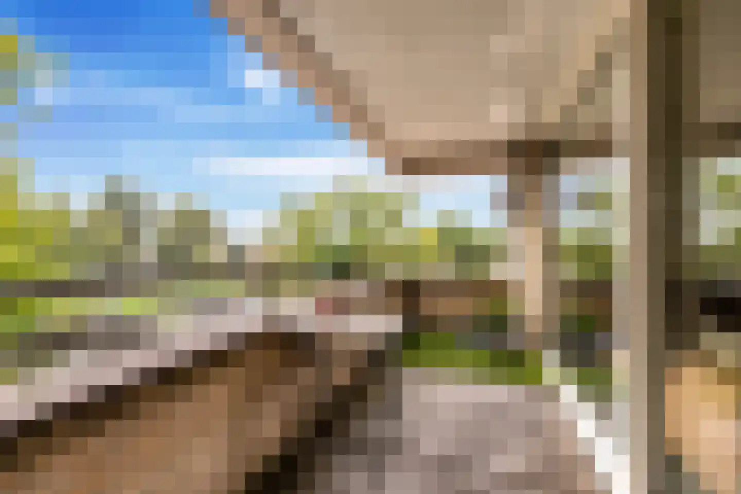 Bellinistraat 115 Alkmaar thumbnail 8