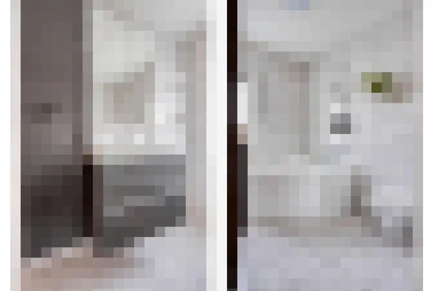 Bellinistraat 12 Hulst thumbnail 24