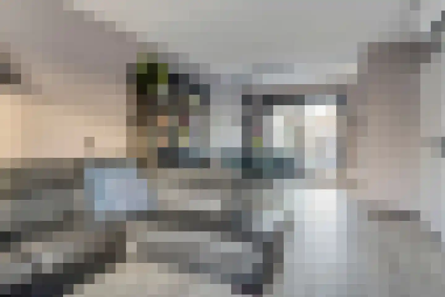 Bellinistraat 12 Hulst thumbnail 4