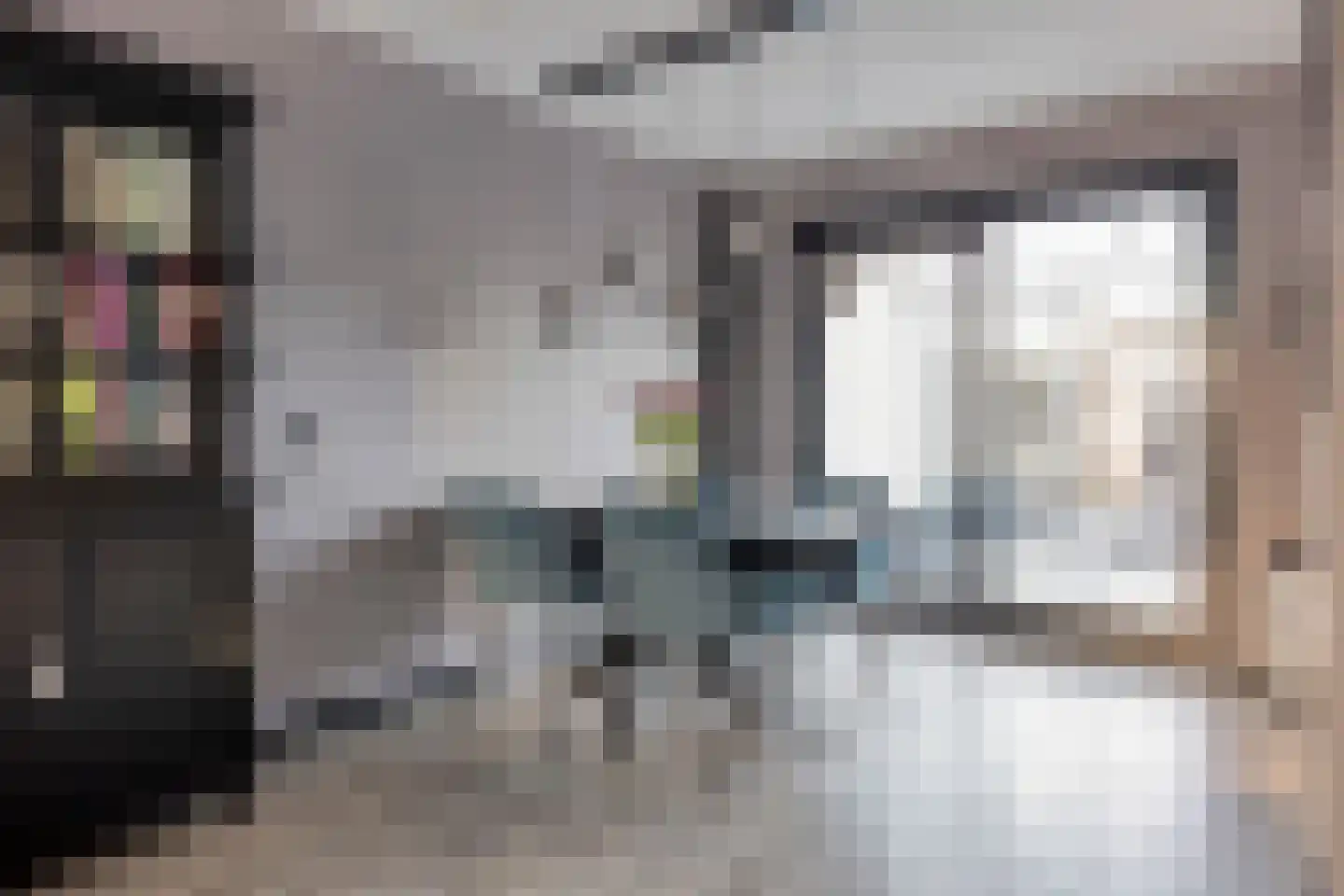 Bellinistraat 12 Hulst thumbnail 5