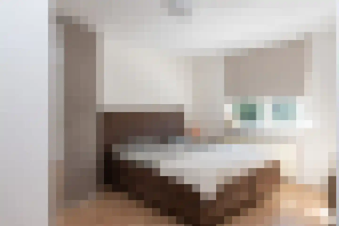 Bellinistraat 135 Tilburg thumbnail 23