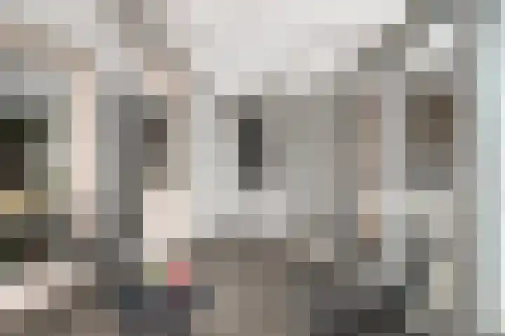 Bellinistraat 14 Hulst thumbnail 10