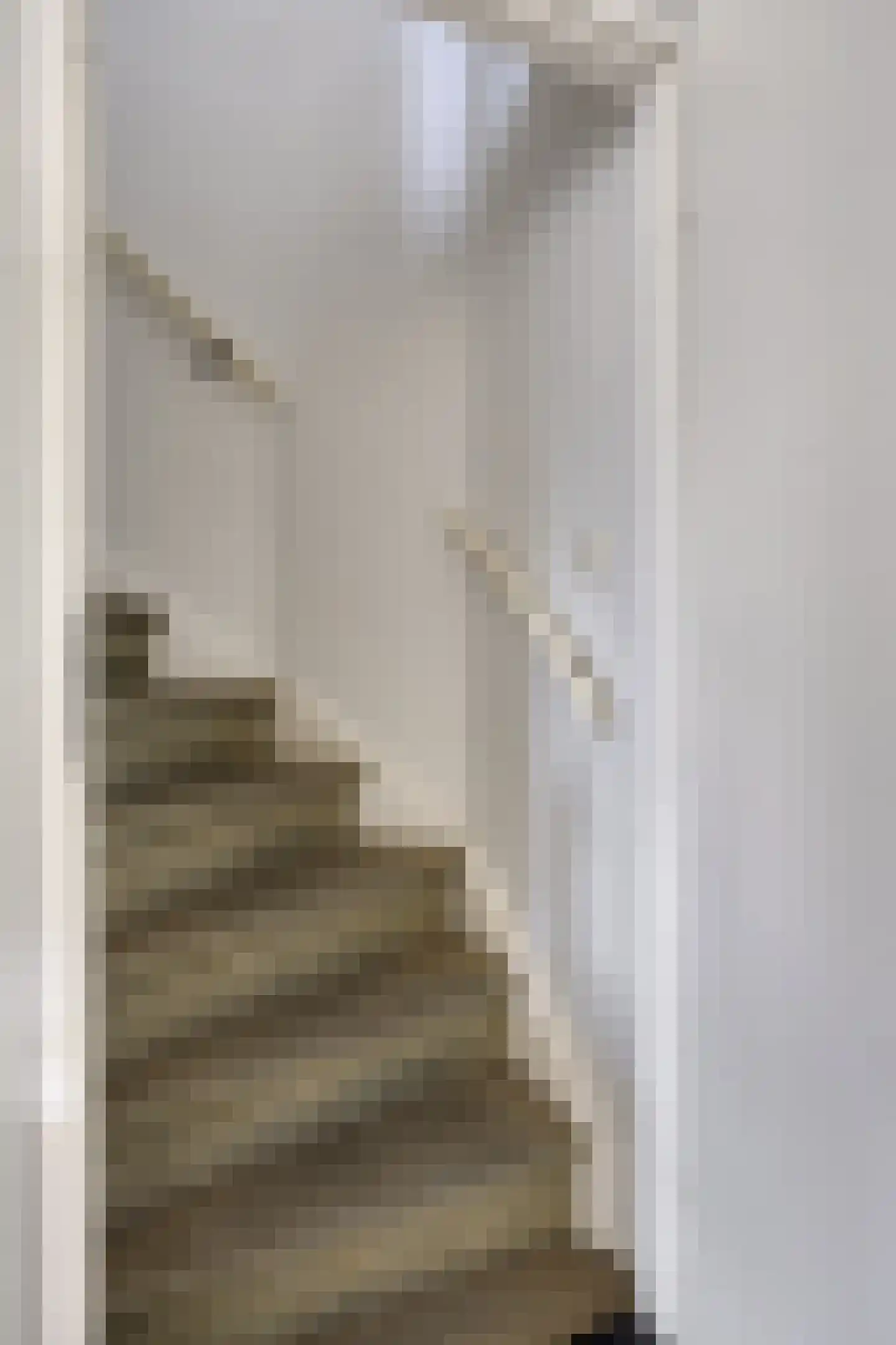 Bellinistraat 14 Hulst thumbnail 12