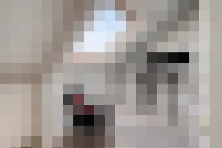 Bellinistraat 14 Hulst thumbnail 20