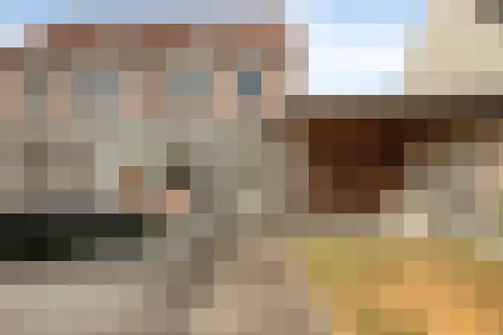 Bellinistraat 14 Hulst thumbnail 23
