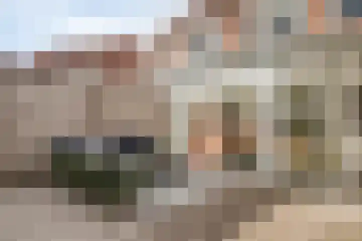 Bellinistraat 14 Hulst thumbnail 25