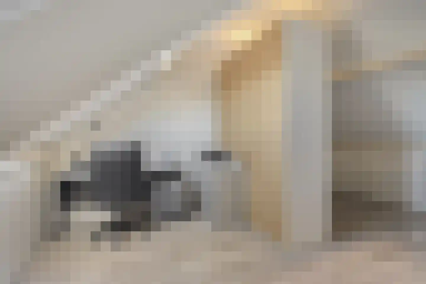 Bellinistraat 14 Hulst thumbnail 25